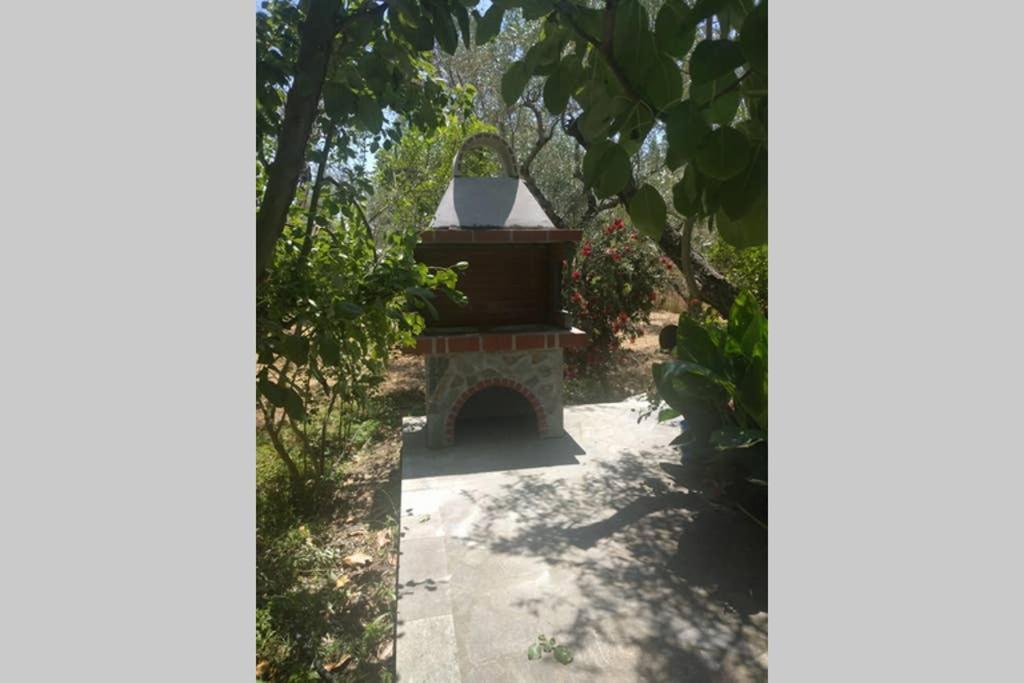 Irinis Cottage 卡拉内拉 外观 照片