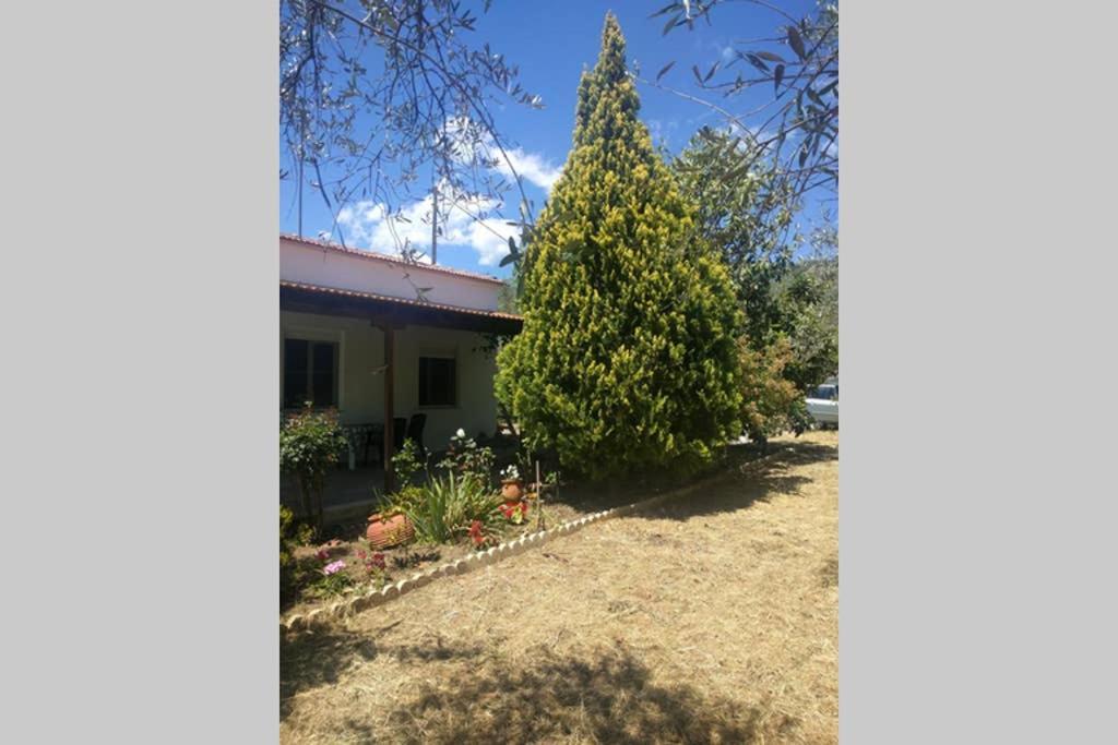 Irinis Cottage 卡拉内拉 外观 照片